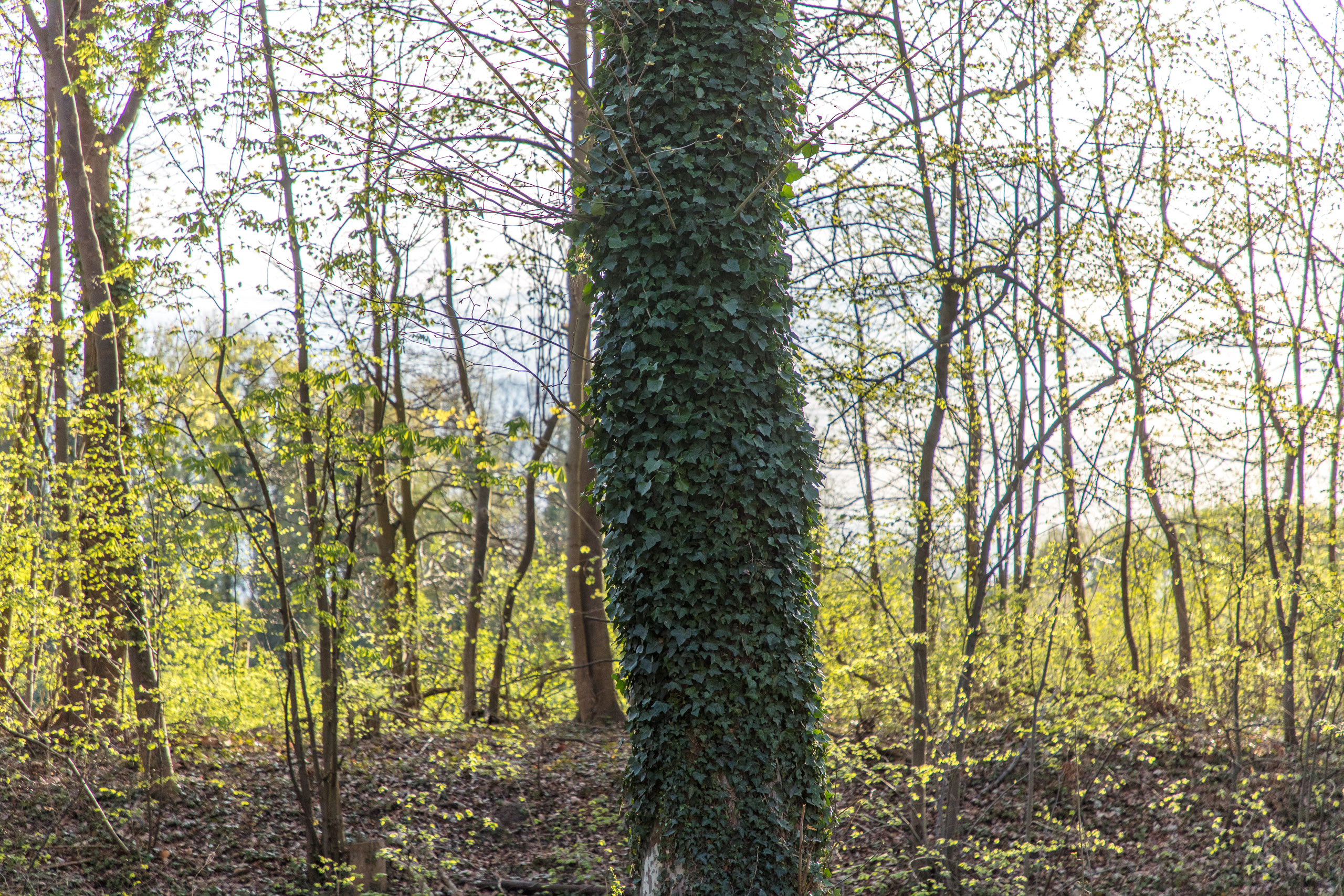 20180414190713 DP014966